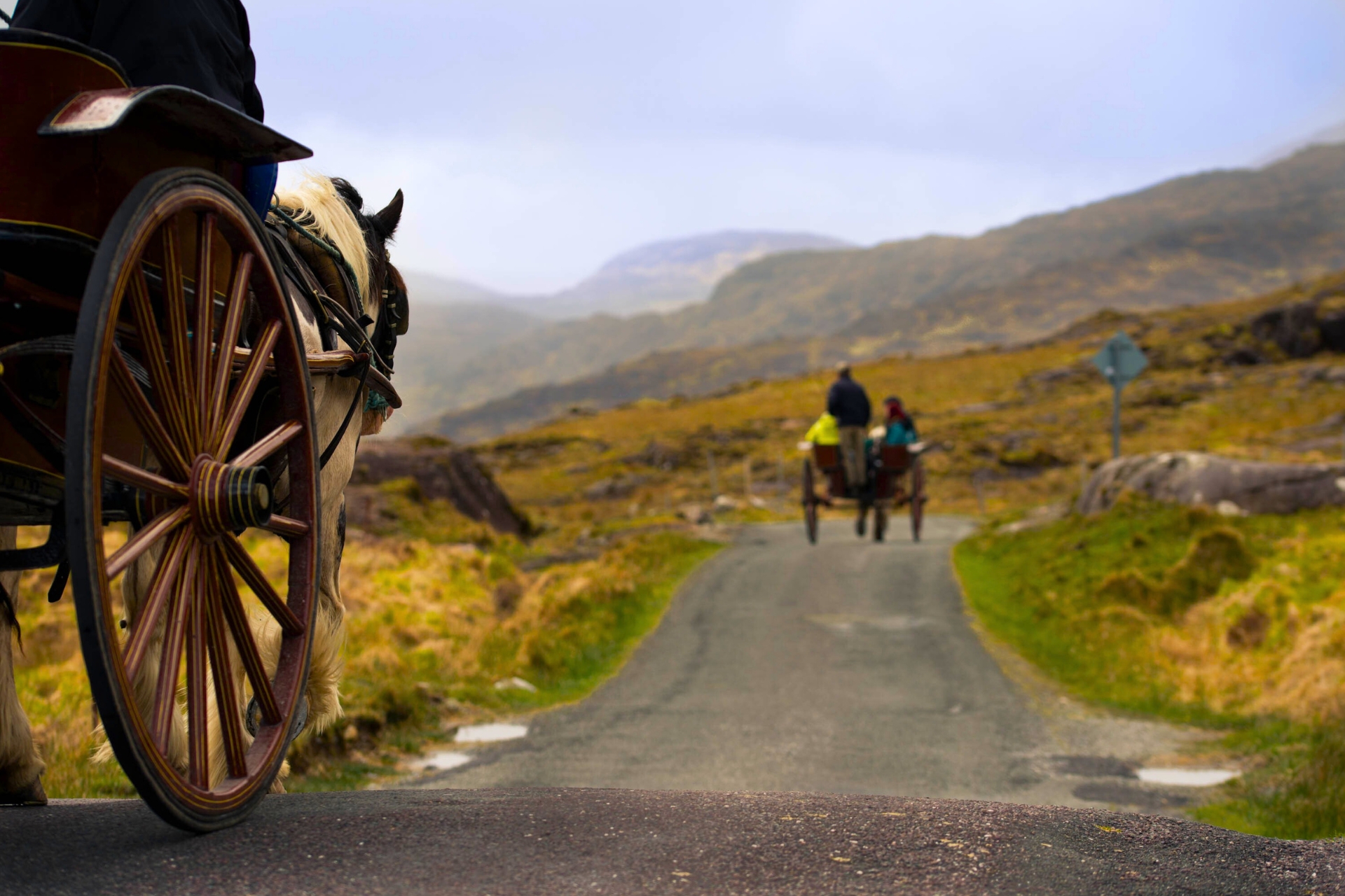 From Horse-Drawn Carts to Cloud-Based Car Rental Systems: The Evolution of Car Rentals
