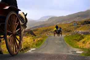 From Horse-Drawn Carts to Cloud-Based Car Rental Systems: The Evolution of Car Rentals