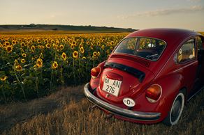 Car Rental Software for Small Businesses: Secrets to Running a More Profitable Operation